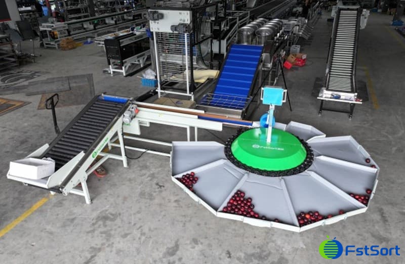 plum sorter.jpg plum sorter.jpg